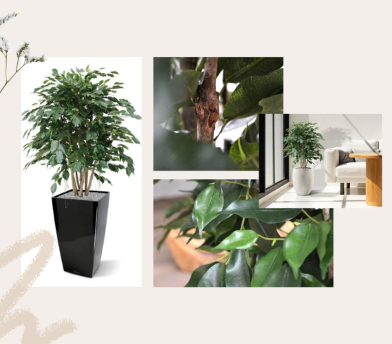 Ficus Exotica XL 110 cm kunstplant