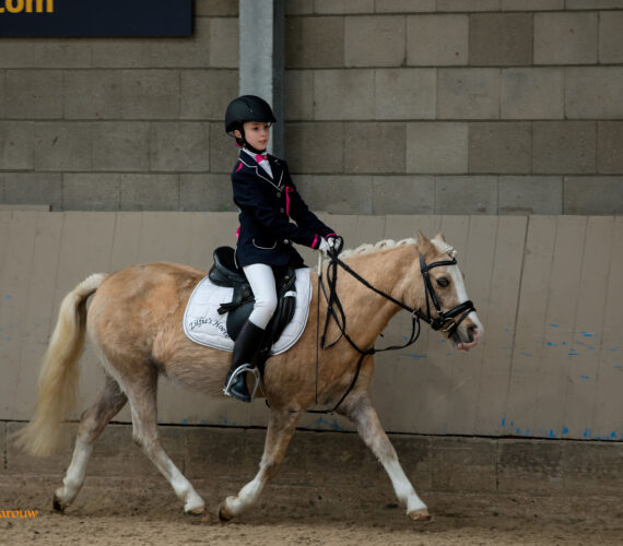 Chelsey STOPT met carrousel rijden!