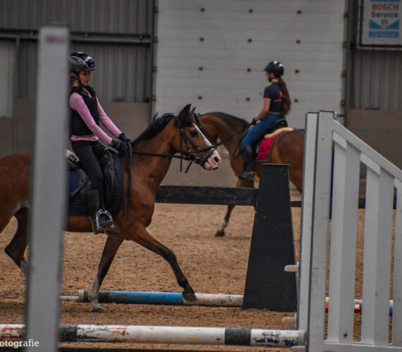 Chelsey STOPT met carrousel rijden!