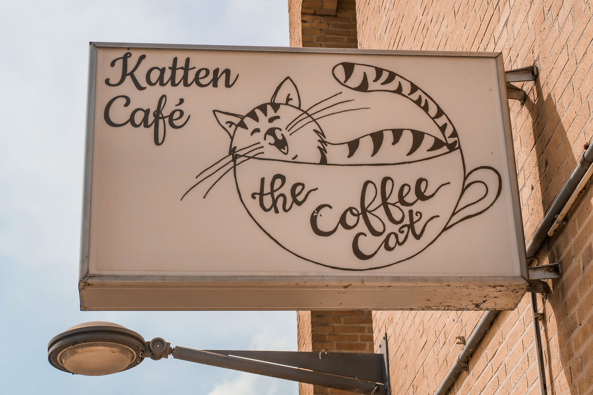 Lunchen in het Kattencafé The Coffee Cat