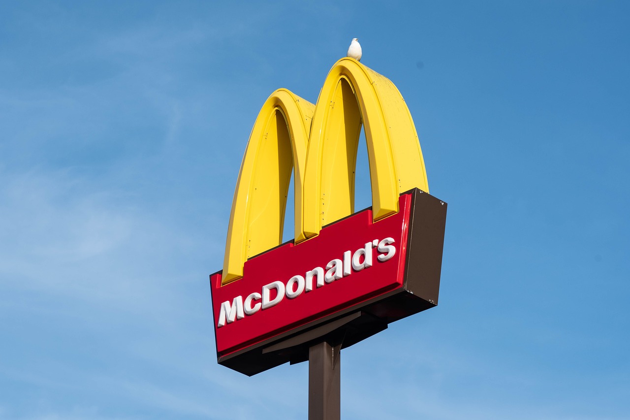 Dierlijke producten in McDonald friet?