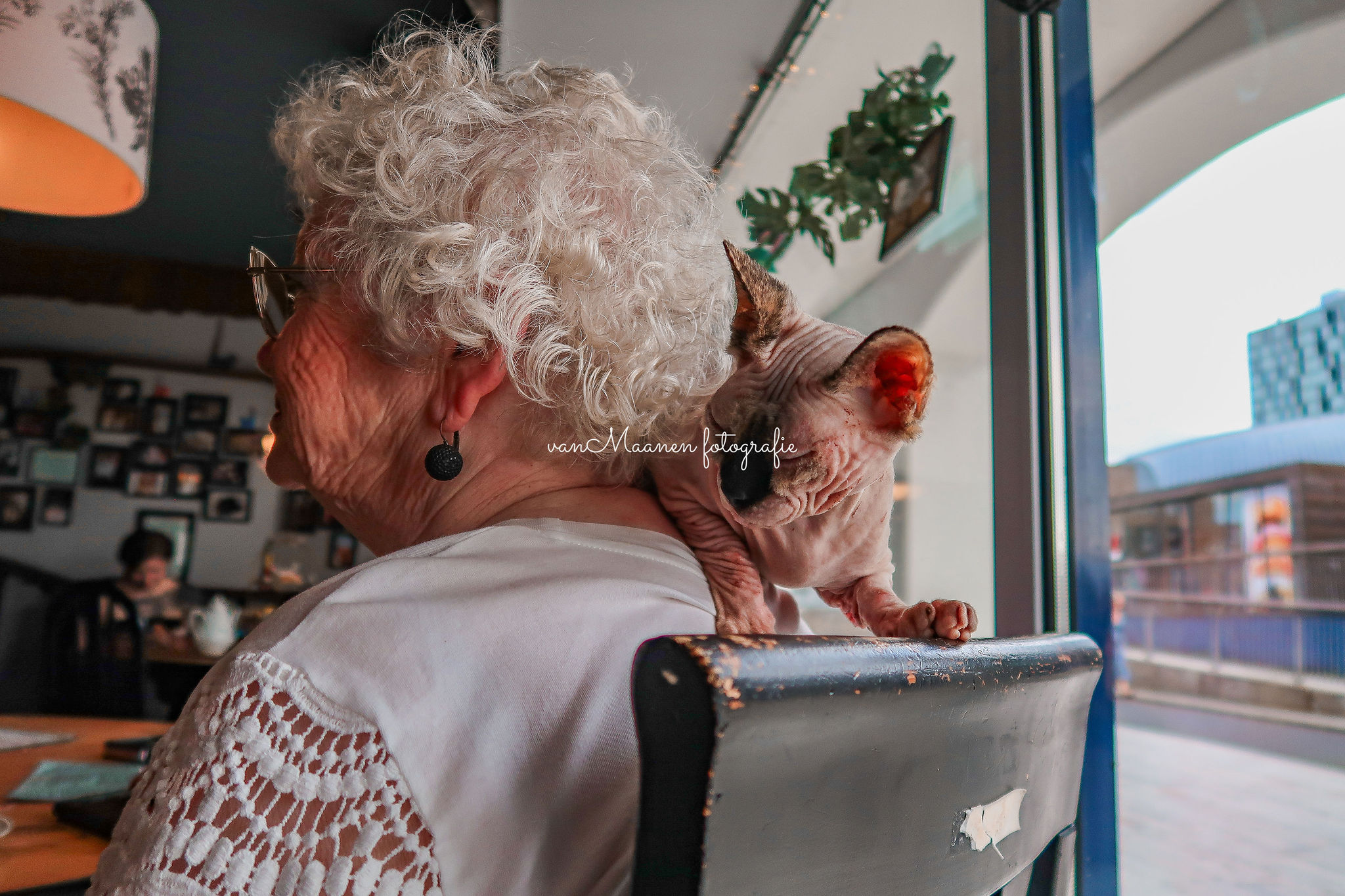 Lunchen in het Kattencafé The Coffee Cat