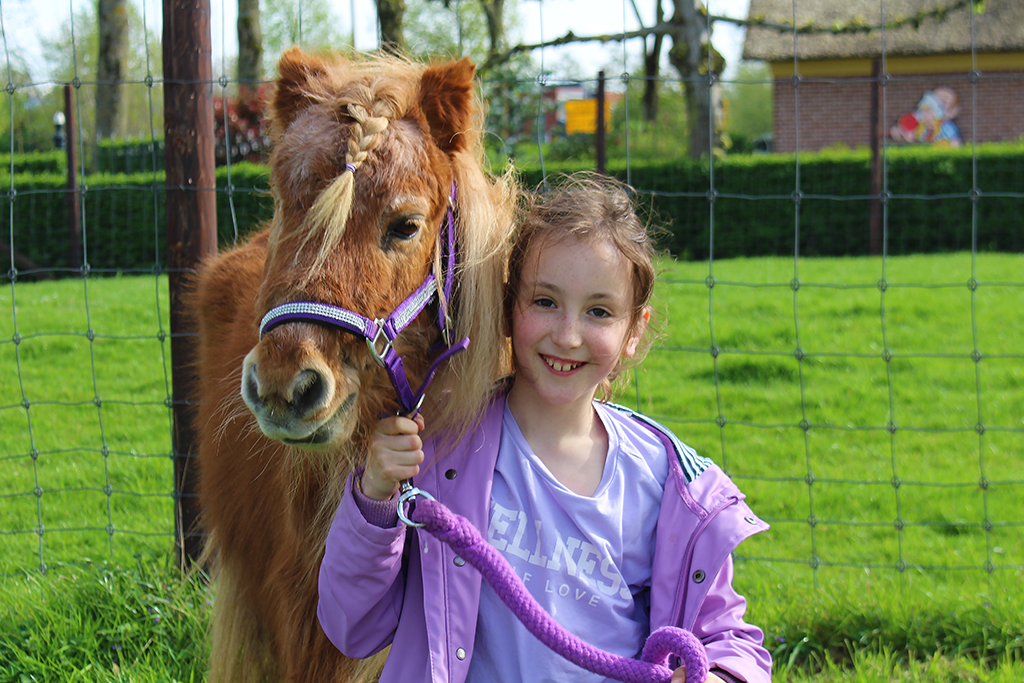 Afscheid nemen van onze verzorgpony