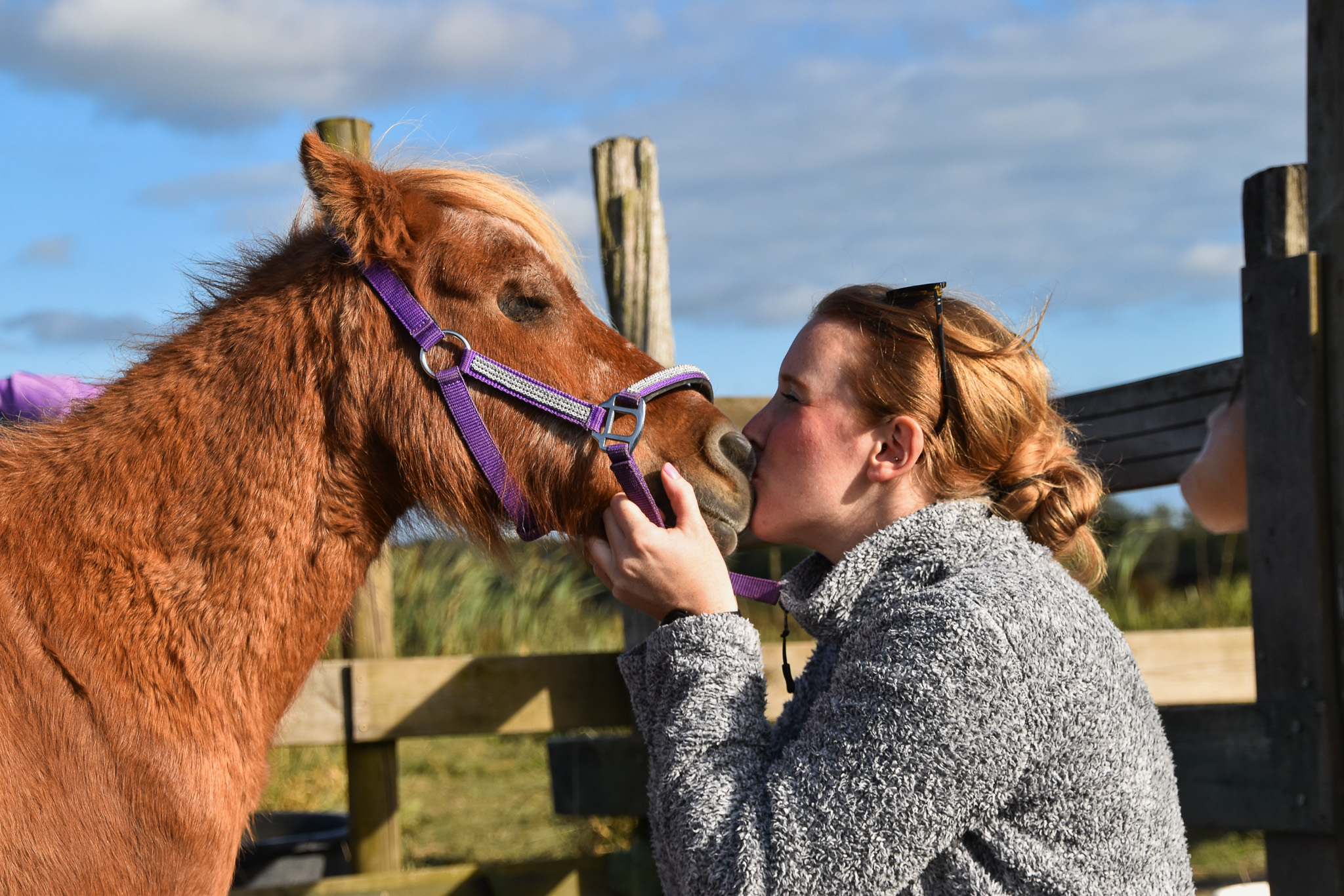 Afscheid nemen van onze verzorgpony