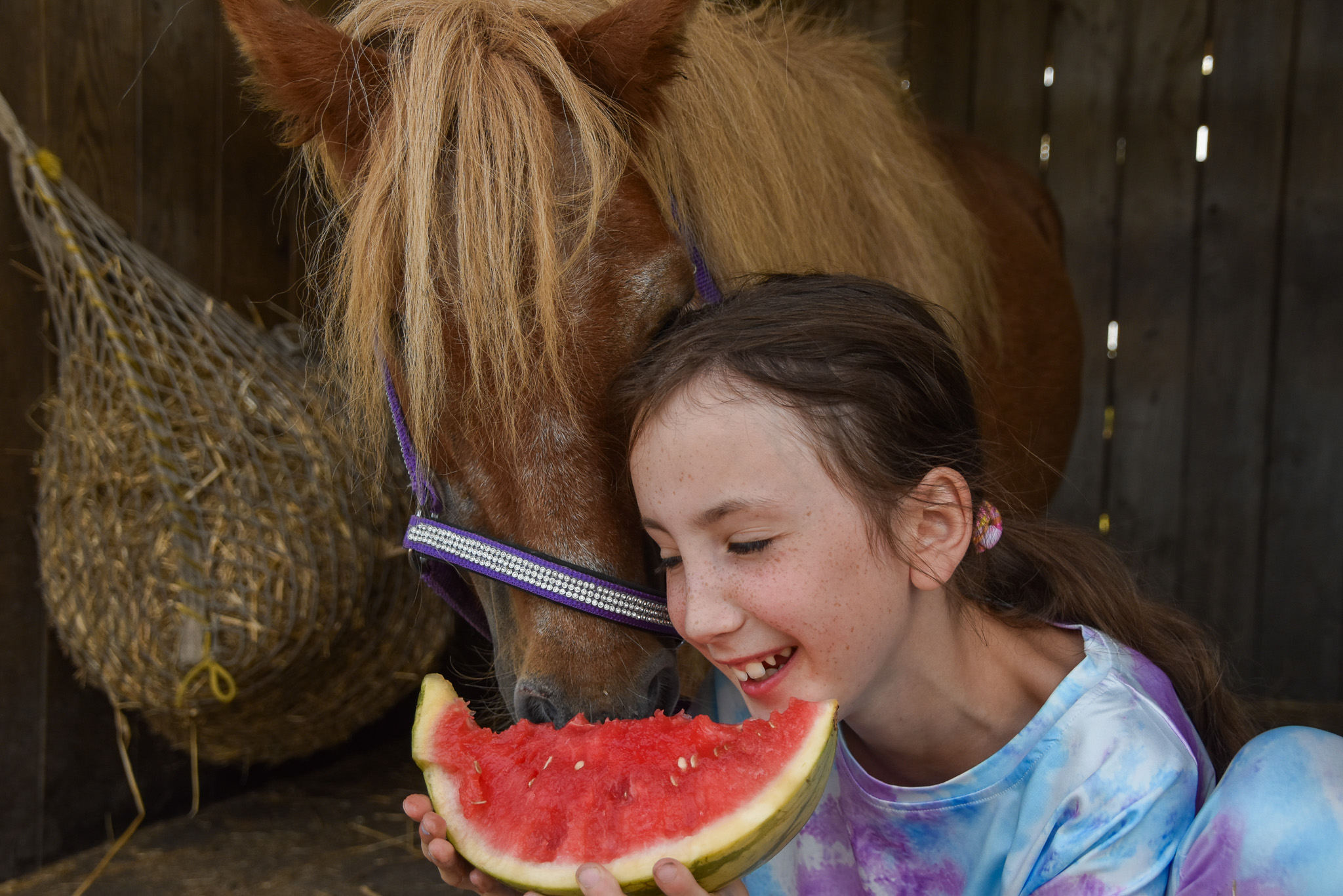 Afscheid nemen van onze verzorgpony