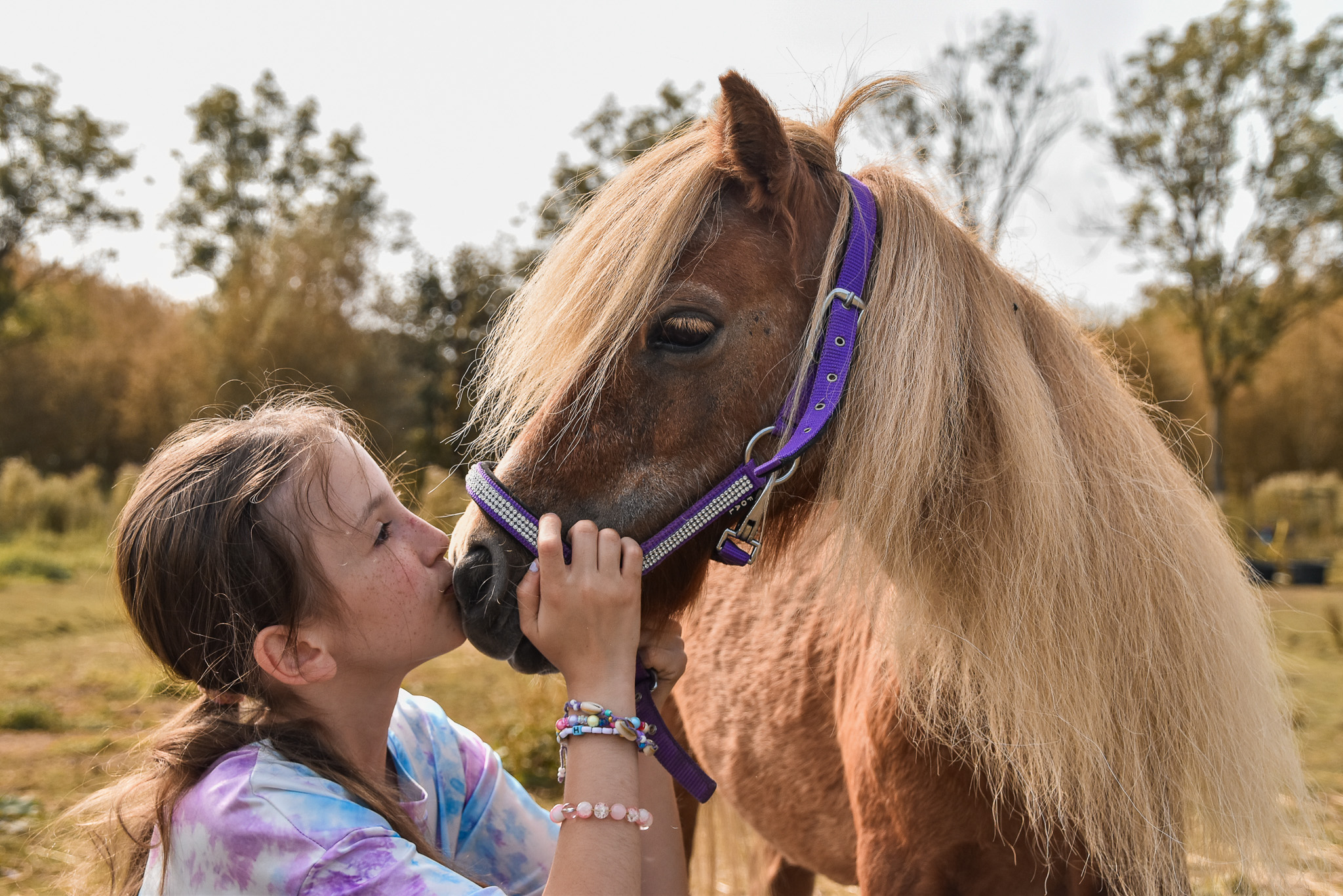 Afscheid nemen van onze verzorgpony