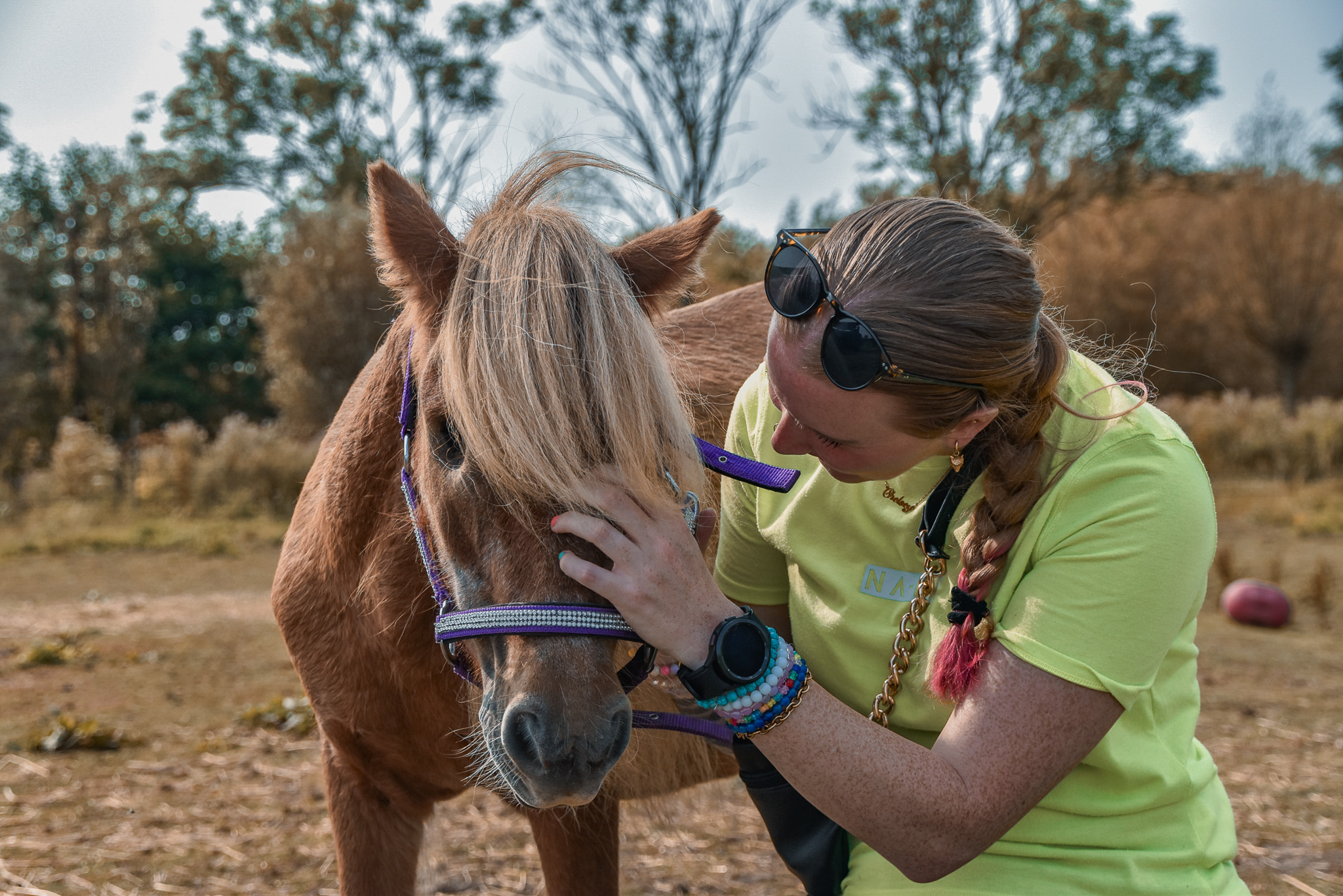 Afscheid nemen van onze verzorgpony