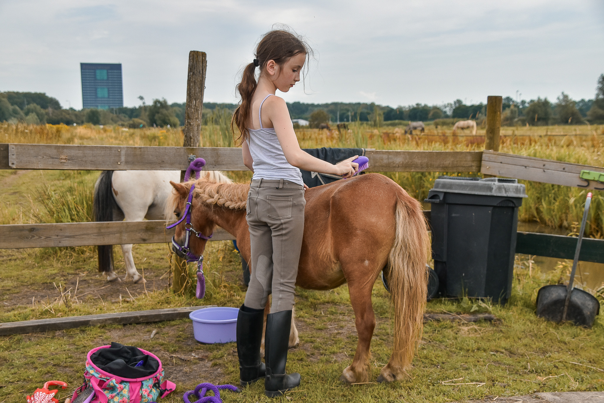 Afscheid nemen van onze verzorgpony