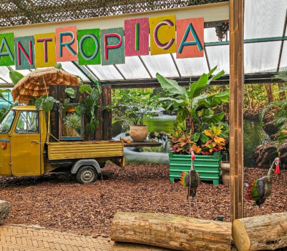 Een dagje Pantropica