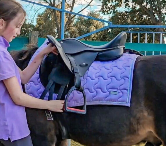 De zoektocht naar een verzorgpony #2