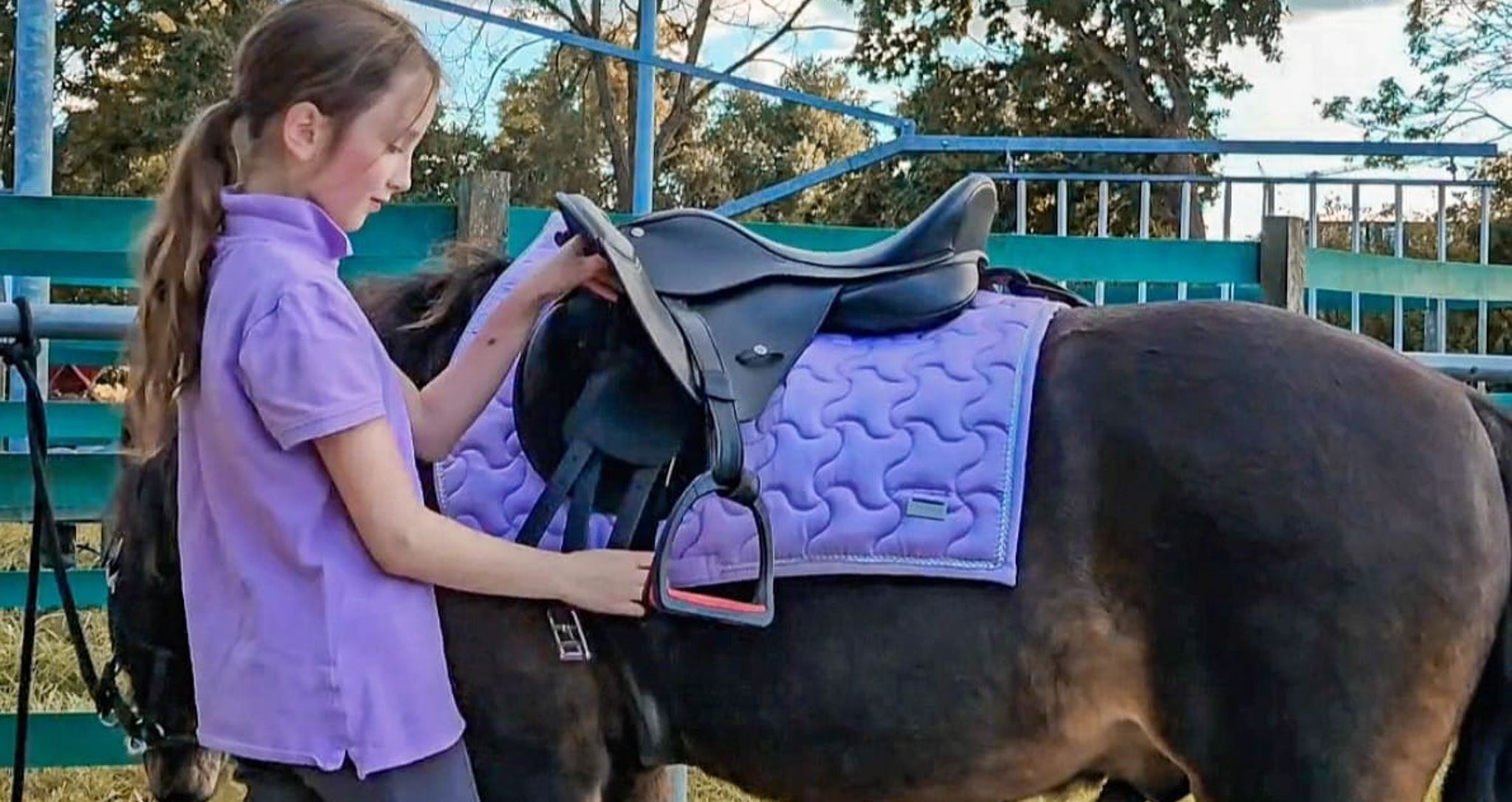 De zoektocht naar een verzorgpony #2
