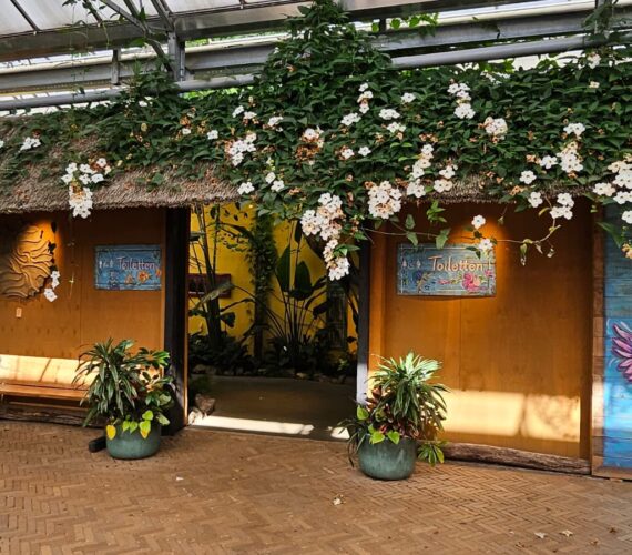 Een dagje Pantropica