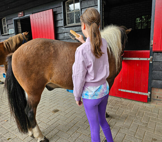 Borsteldagen bij De Paardenkamp