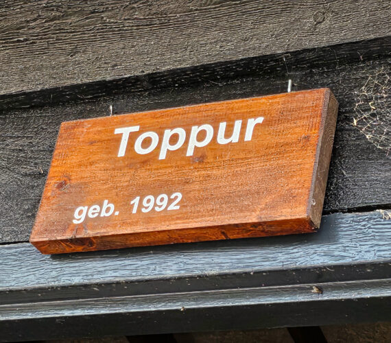 Borsteldagen bij De Paardenkamp