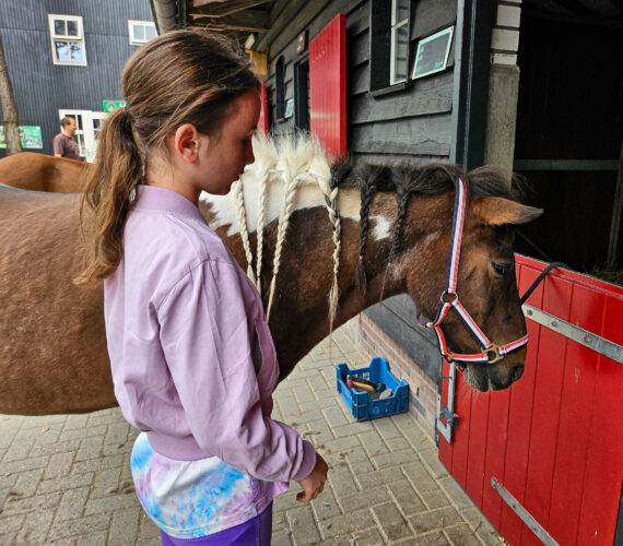 Borsteldagen bij De Paardenkamp