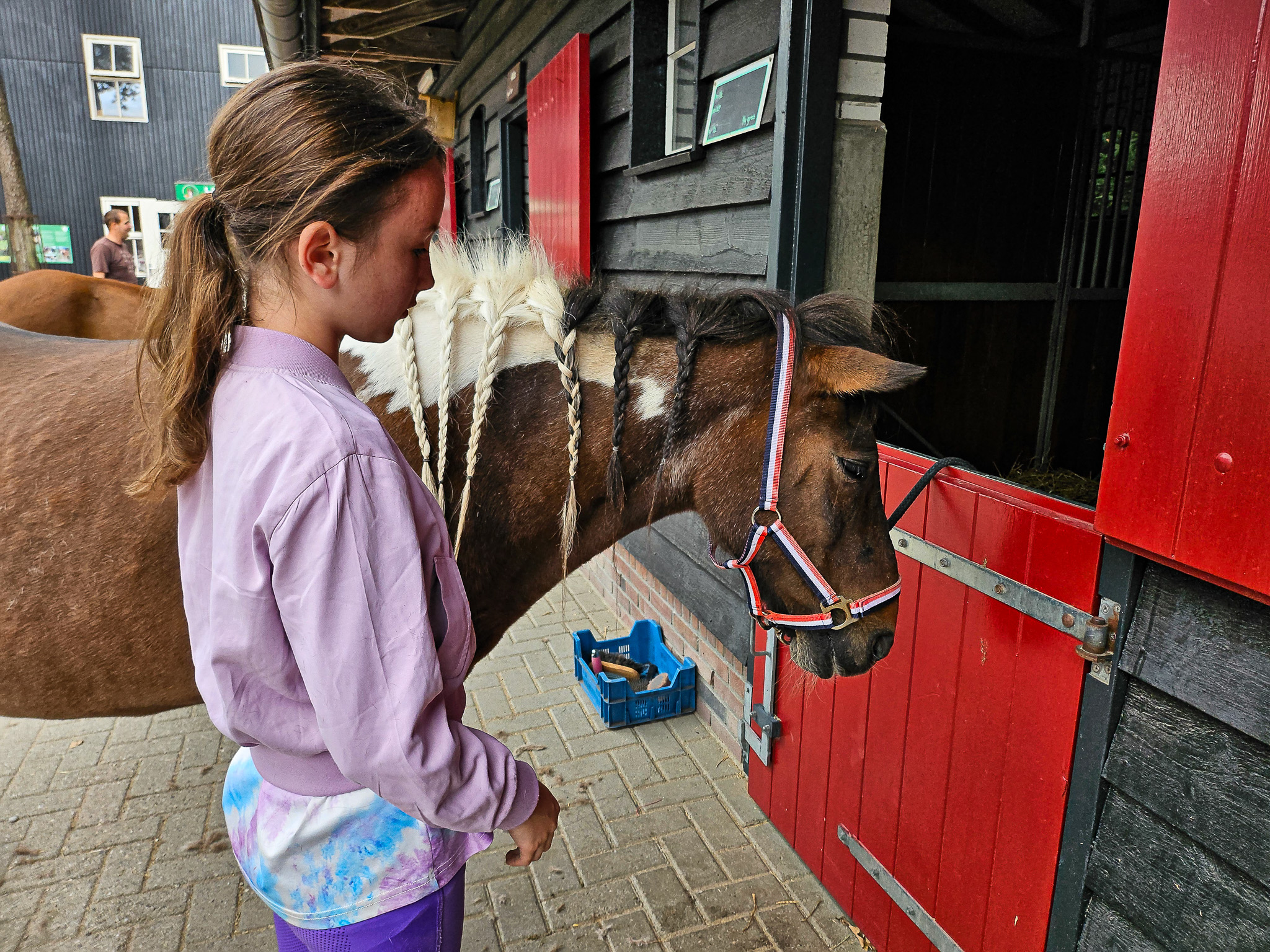 Borsteldagen bij De Paardenkamp