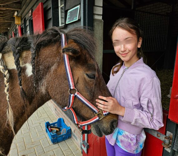 Borsteldagen bij De Paardenkamp