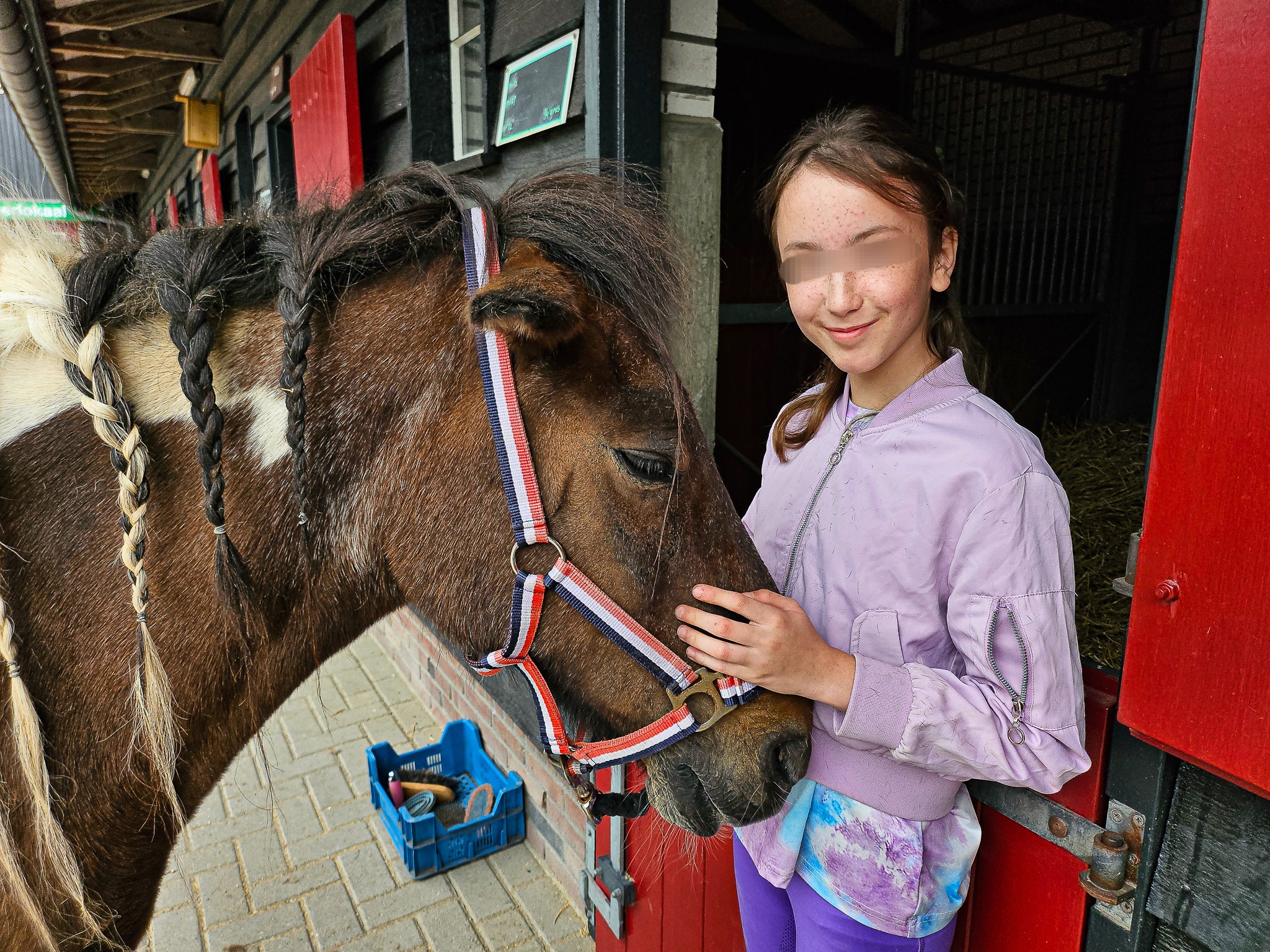 Borsteldagen bij De Paardenkamp