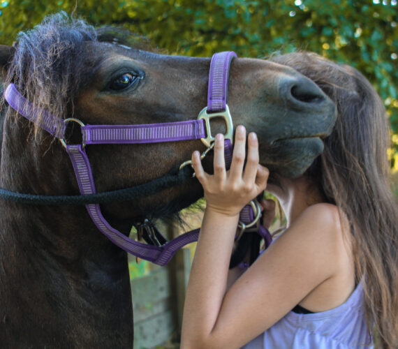 Een zomerse ochtend bij James