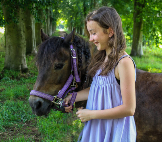 Een zomerse ochtend bij James
