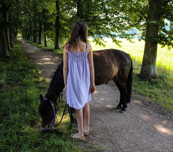 Een zomerse ochtend bij James