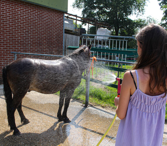 Een zomerse ochtend bij James