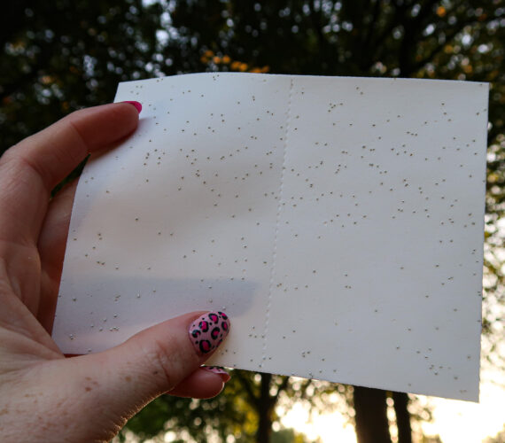 Mother's Earth Wasstrips