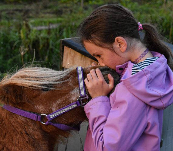 Een jaar zonder Foxy