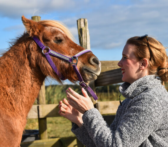 Een jaar zonder Foxy