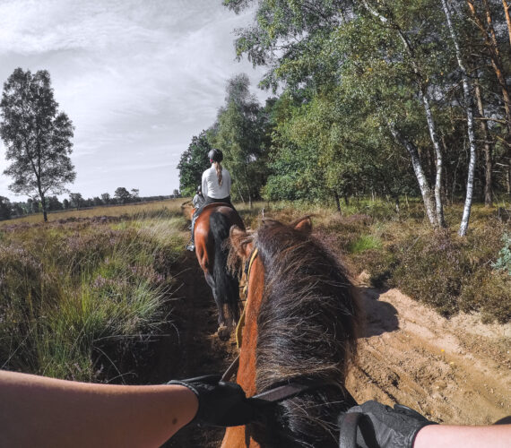 Buitenrit bij The Mill Ranch