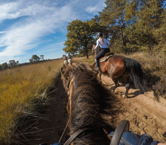 Buitenrit bij The Mill Ranch