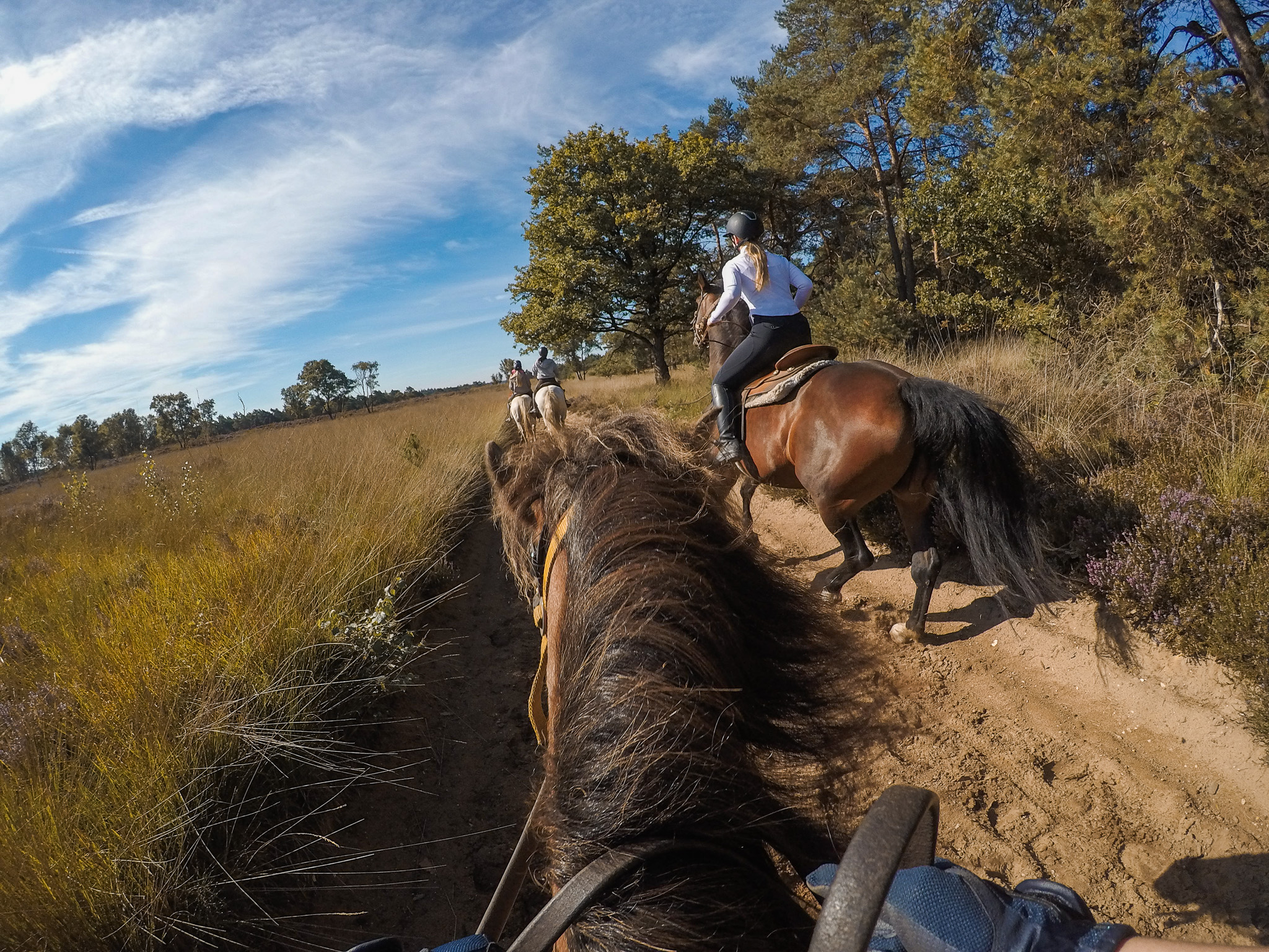 Buitenrit bij The Mill Ranch
