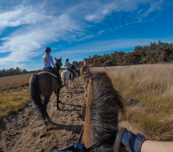 Buitenrit bij The Mill Ranch