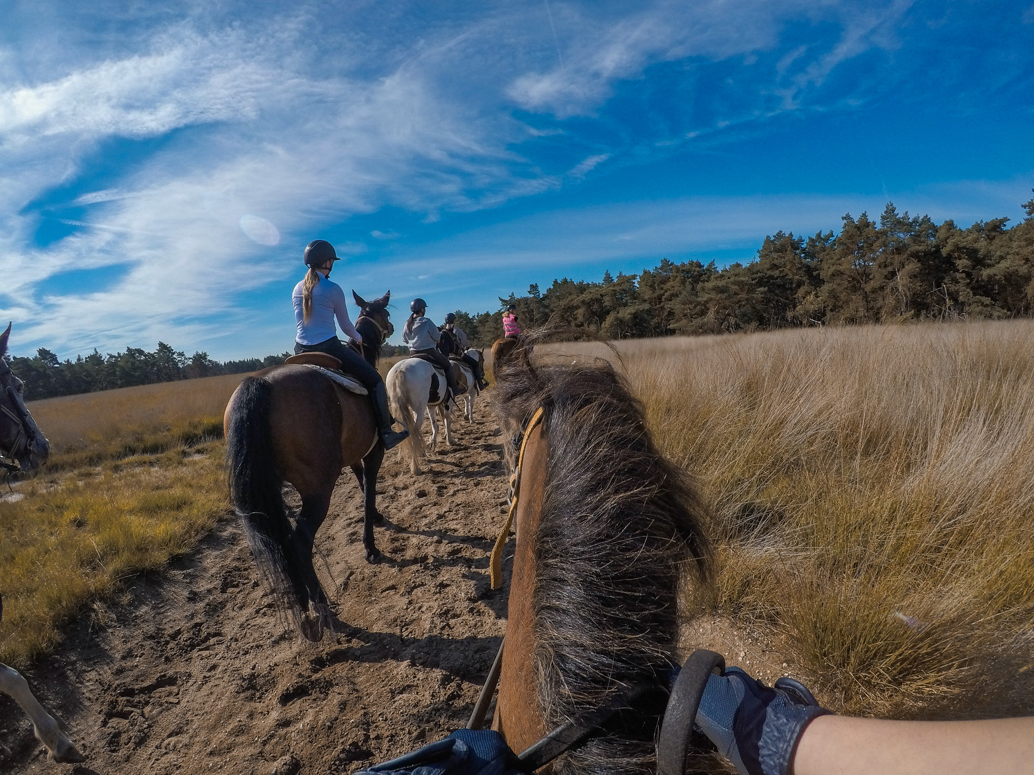 Buitenrit bij The Mill Ranch