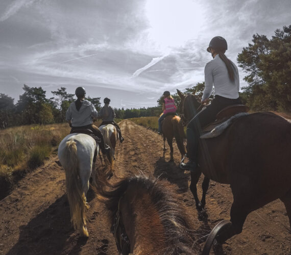Buitenrit bij The Mill Ranch
