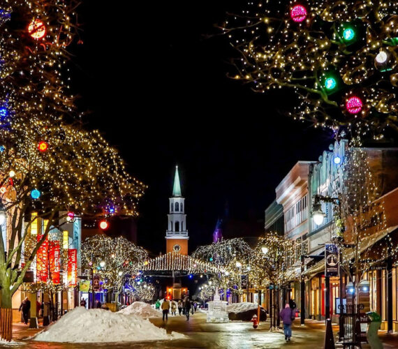 The Christmas Walk – Dieren in nood