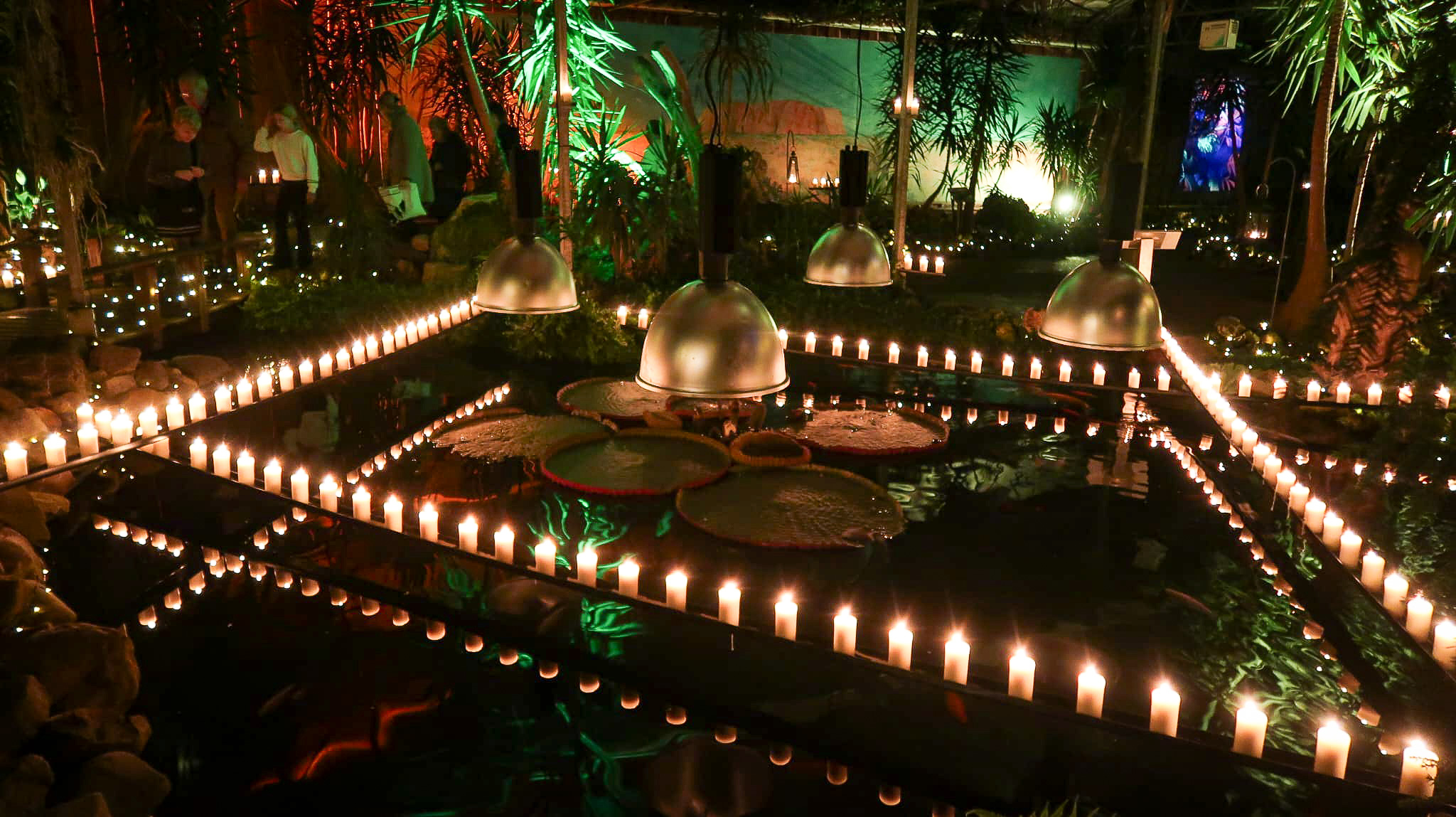 Winterdroom in Pantropica