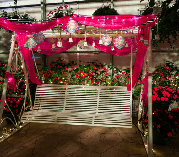 Winterdroom in Pantropica