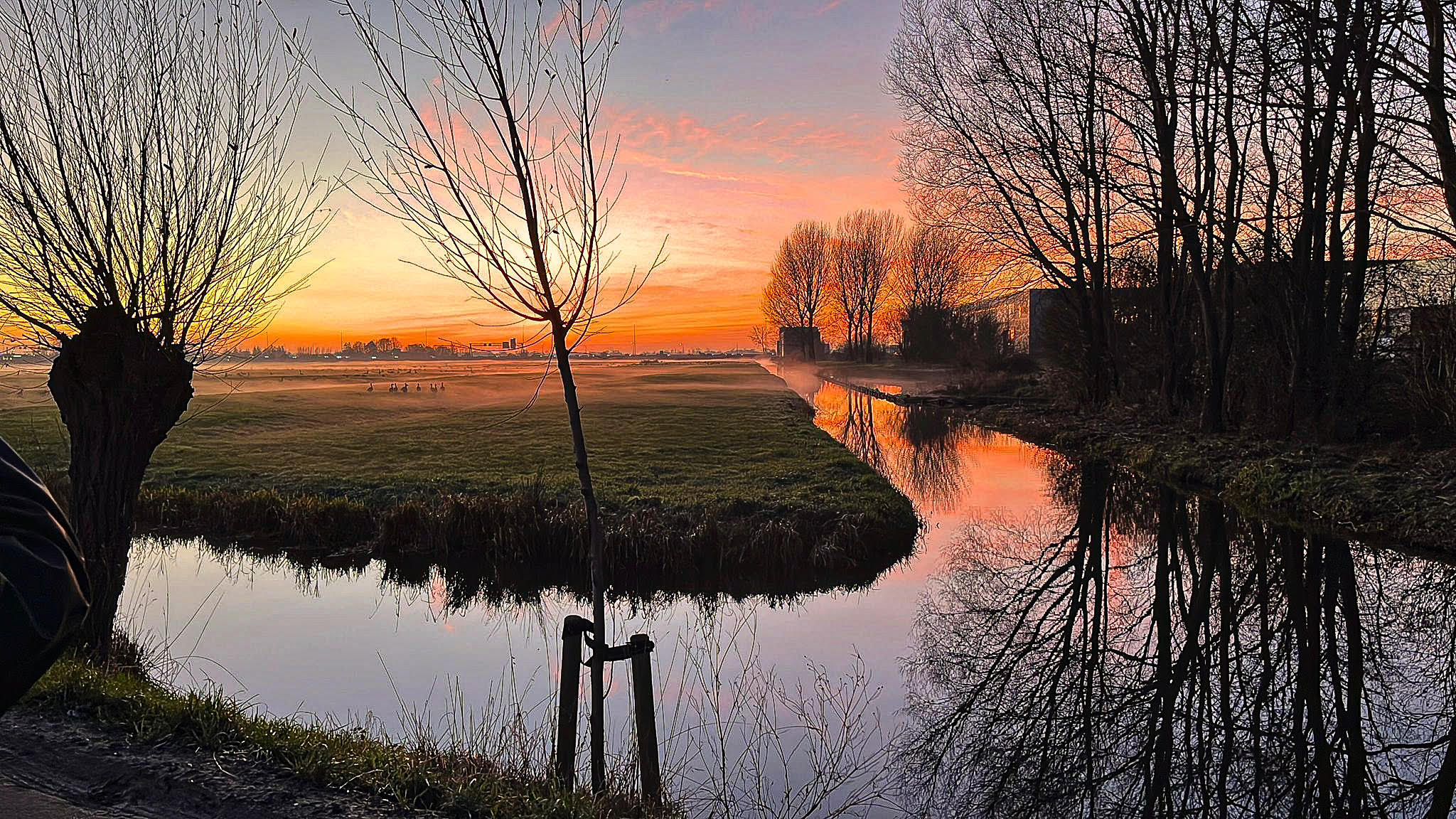 Wandelen voor dieren in nood