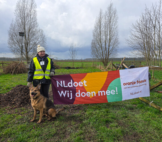 NLdoet Bunnik: Hondenspeelparadijs