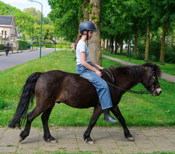 Chelsey stopt met rijden op James