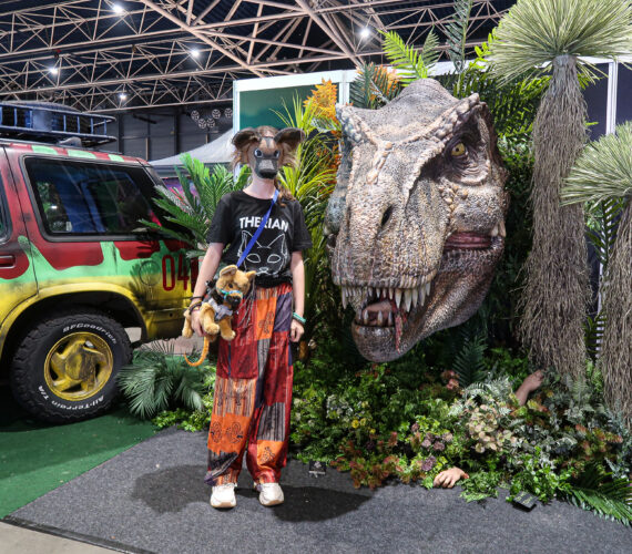 Heroes Dutch Comic Con: Zomer editie