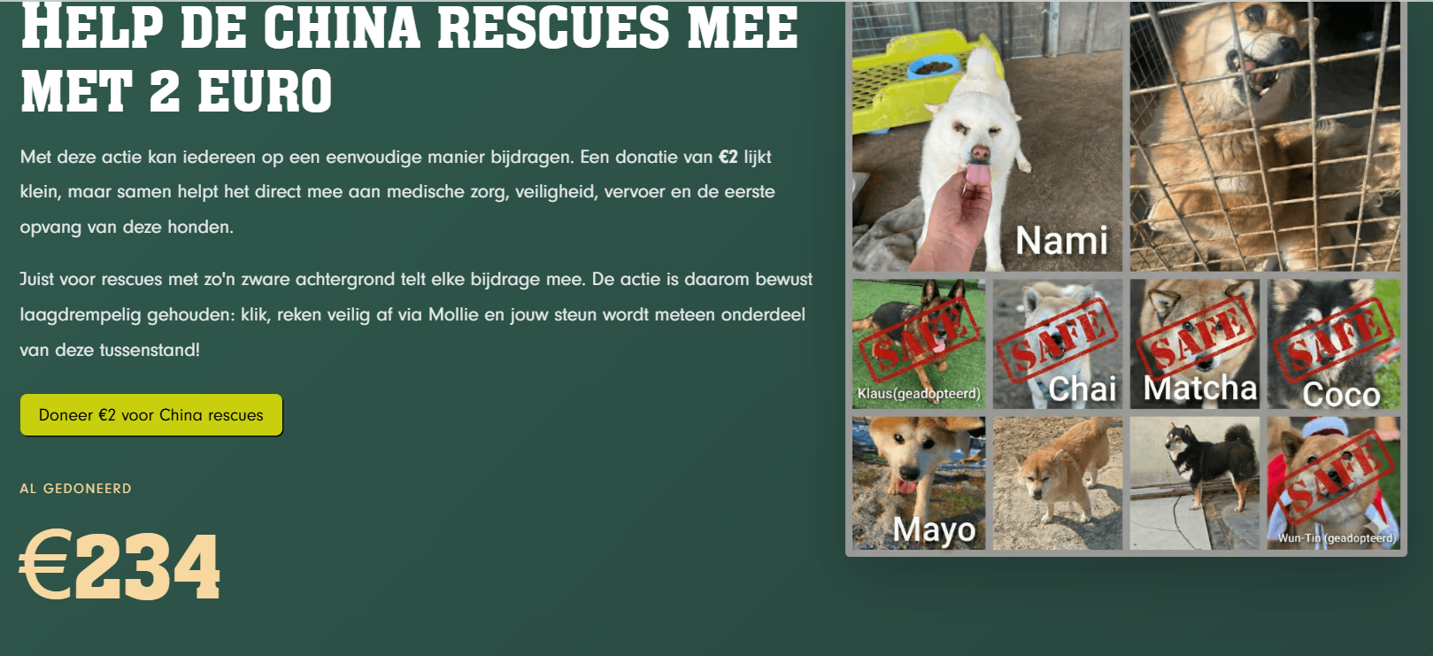Ambassadeur van safe haven inu rescue