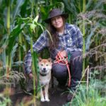 Ambassadeur van safe haven inu rescue
