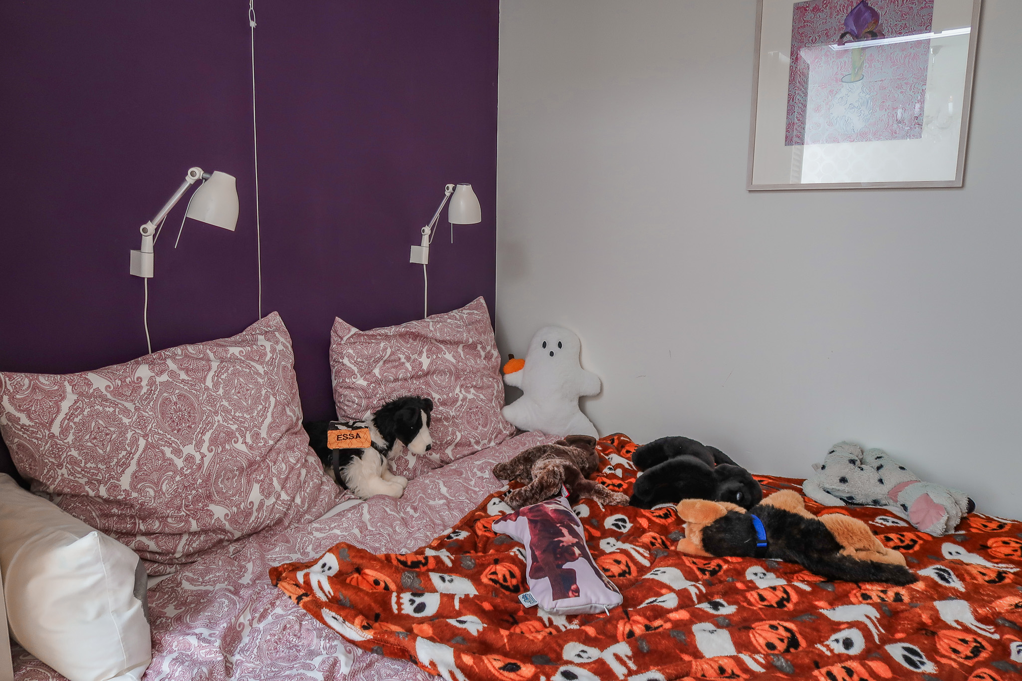 Een nachtje bij B&B Safier in Joure