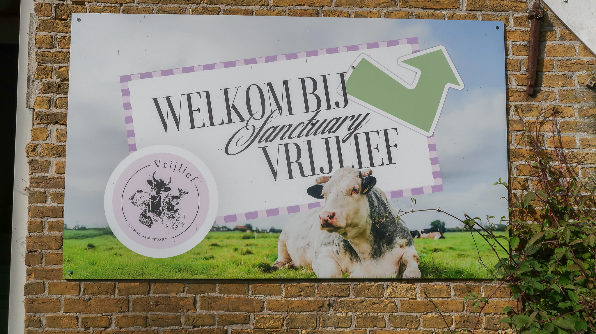 Open dag Sanctuary Vrijlief