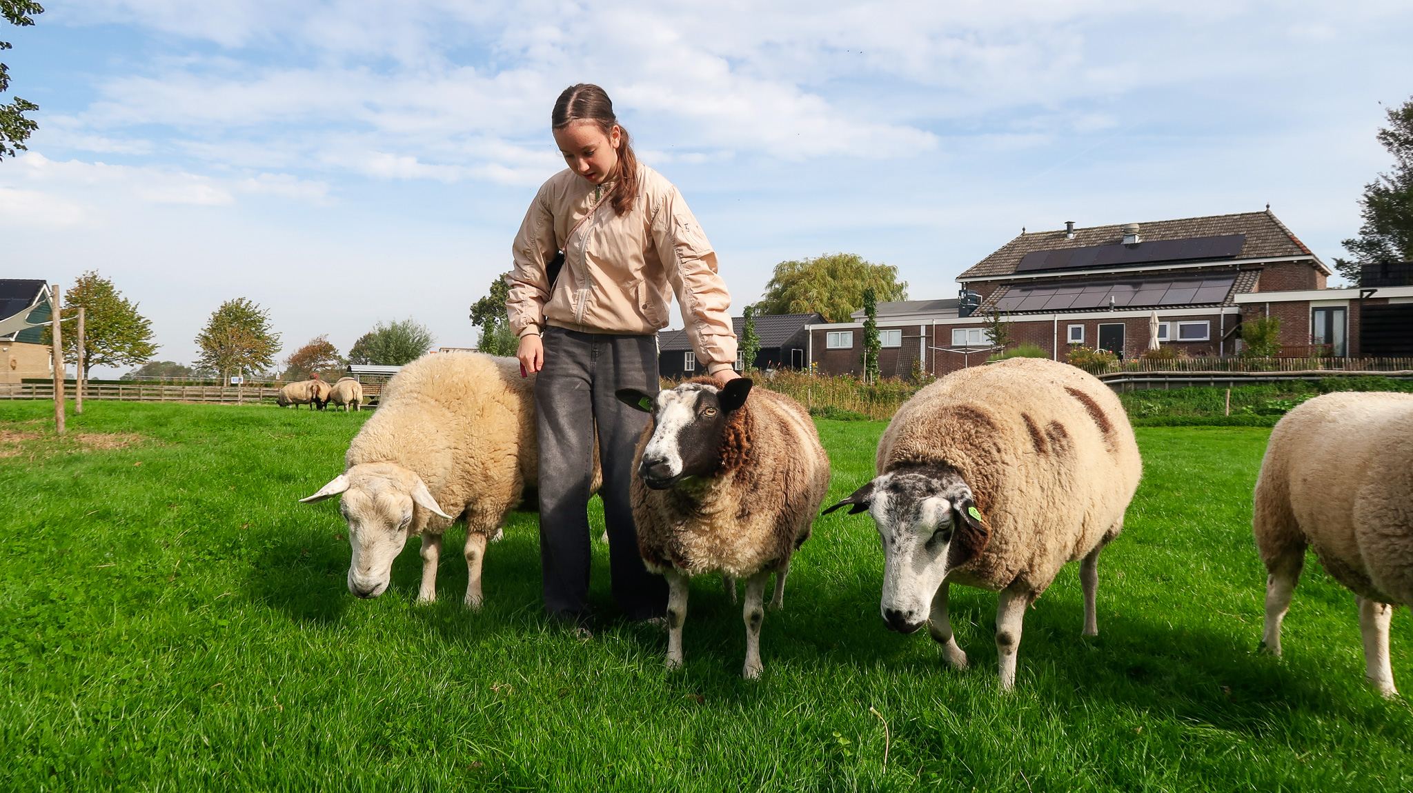 Open dag Sanctuary Vrijlief
