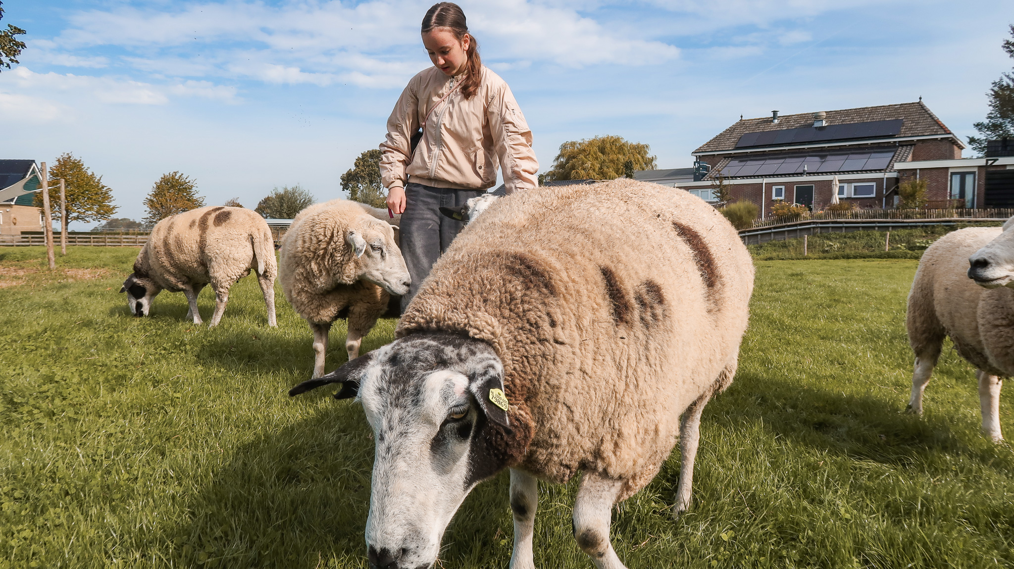 Open dag Sanctuary Vrijlief