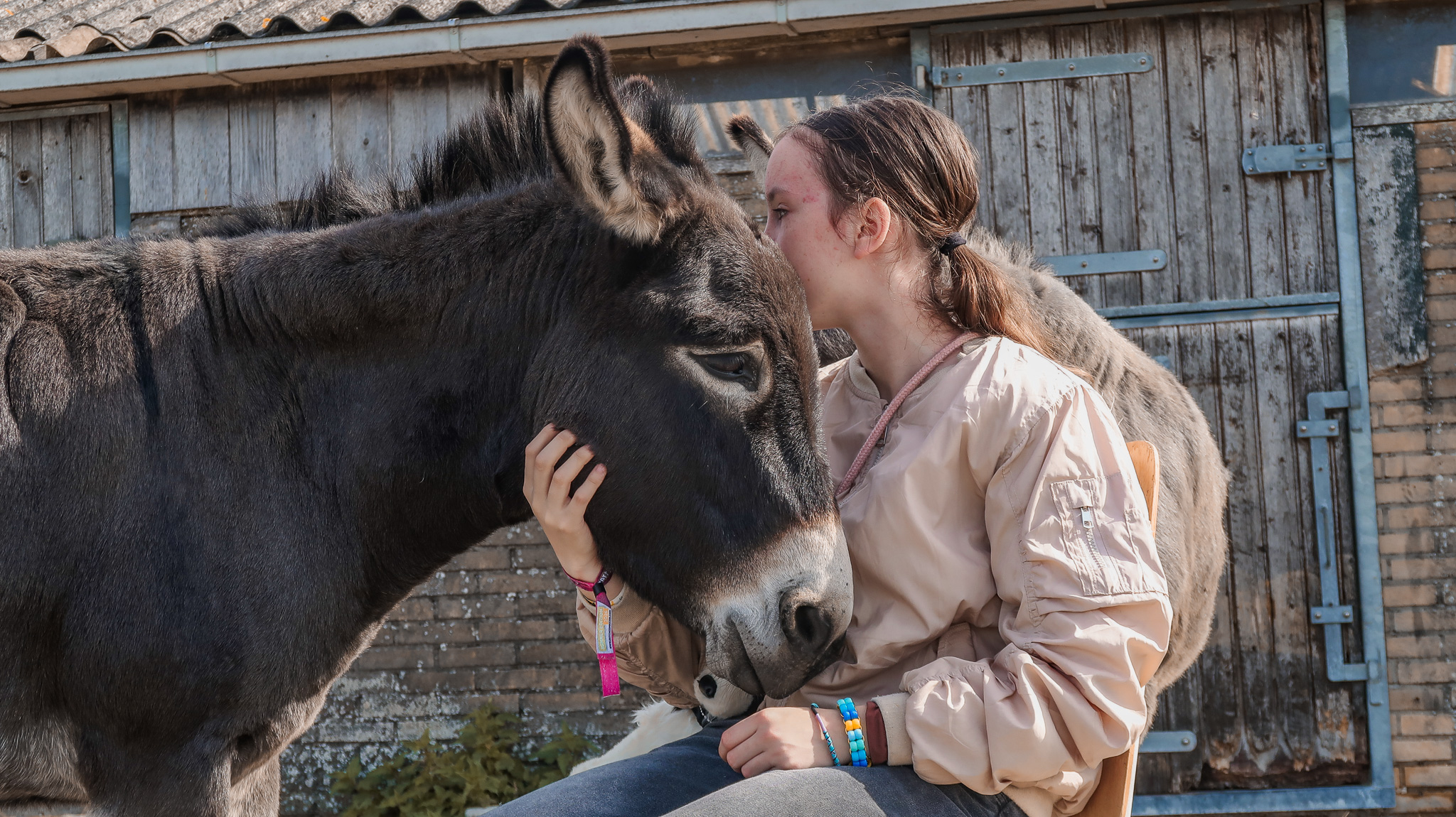 Open dag Sanctuary Vrijlief