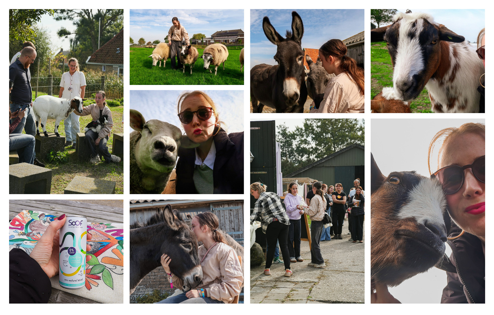 Open dag Sanctuary Vrijlief